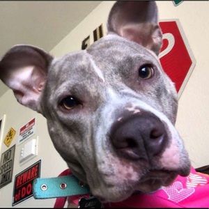 Meet your Posher, Taylor